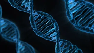 dna，建筑，积木，自然，基因，医学，建筑，蓝色