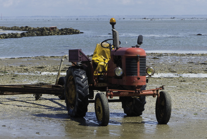 拖拉机、低潮、noirmoutier、水、海、运输、运输方式、日