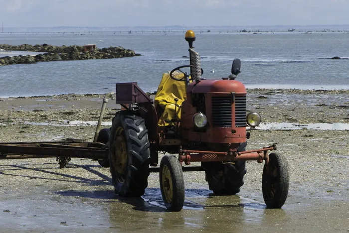 拖拉机、低潮、noirmoutier、水、海、运输、运输方式、日