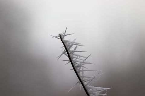 自然、雾、室外、天气、雾、烟、烟雾、冰