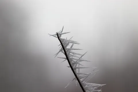 自然、雾、室外、天气、雾、烟、烟雾、冰