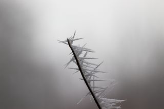 自然、雾、室外、天气、雾、烟、烟雾、冰