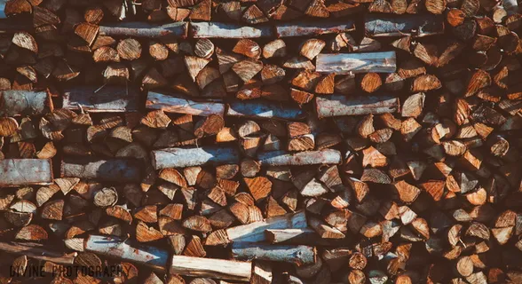 薪材，木材，原木，木材，木材，木材，工业，伐木