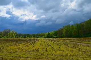 农场、云、自然、田野、景观、天空、农村、农业