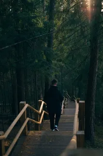 走近树林的人 走近树林的人