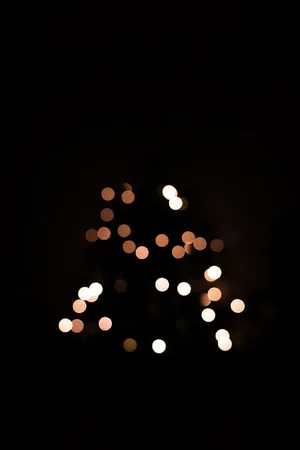 波基灯光摄影
