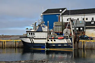 水、海、港、码头、船、锚点、加拿大纽芬兰
