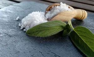 盐，鼠尾草，配料，石头，食谱，静物，叶子，植物部分
