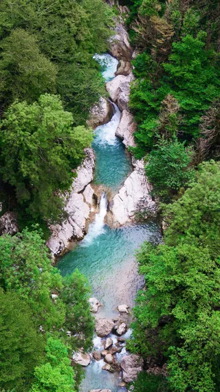 河流沿着树木流动