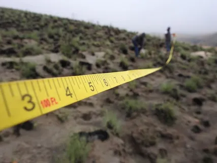 测量、火灾、森林、磁带、公制、研究、能源、仪器