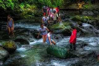 人，女孩，男孩，朋友，户外，冒险，寒冷，水