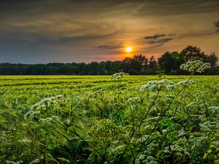 日落、快照、风景、自然、光线、天空、颜色、太阳