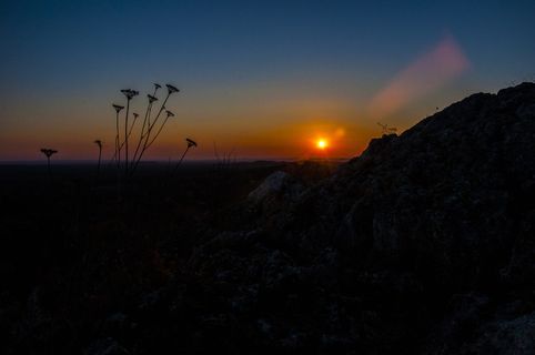 日落，自然，森林，奥尔兹丁城堡，活着，颜色，叶子，植被