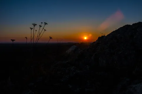 日落，自然，森林，奥尔兹丁城堡，活着，颜色，叶子，植被