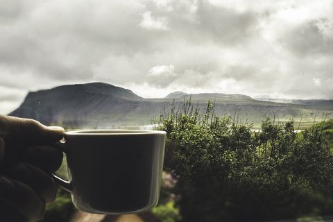 冰岛, 树, 山, 早上, 美, 生活, 生活方式, 摄影师