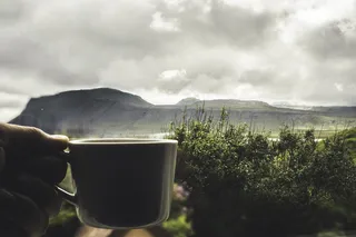 冰岛, 树, 山, 早上, 美, 生活, 生活方式, 摄影师