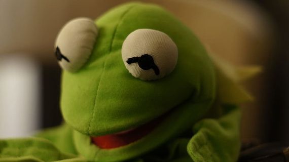 克米特，青蛙，填充动物，绿色，毛绒，玩具，动物代表，没有人