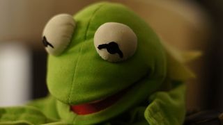 克米特，青蛙，填充动物，绿色，毛绒，玩具，动物代表，没有人