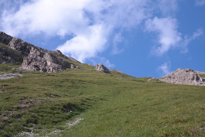 顶峰十字架，十字架，水池顶，高山，阿尔卑斯山，草地，风景，云天