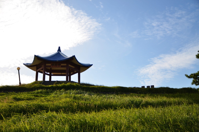 济州，高薪，山，植物，天空，建筑，草，建筑