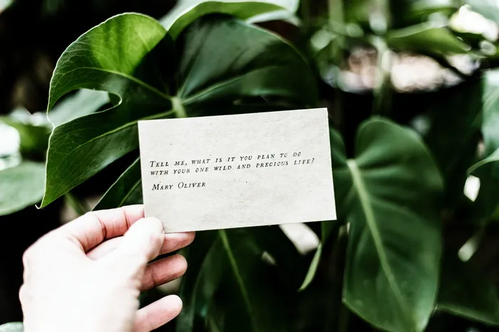 植物，人，人，叶，花，花，文字，纸