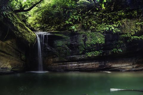瀑布，岩石，水，树，植物，森林，自然之美，风景-自然