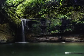 瀑布，岩石，水，树，植物，森林，自然之美，风景-自然