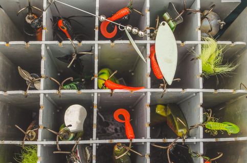 钓鱼，诱饵，诱饵，爱好，鱼钩，物体，鱼，工具