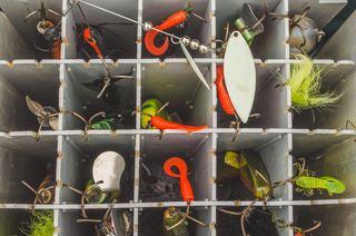 钓鱼，诱饵，诱饵，爱好，鱼钩，物体，鱼，工具