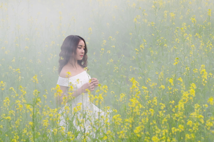 女人，被包围，黄色，发光，肖像，花朵改革，女孩，薄雾