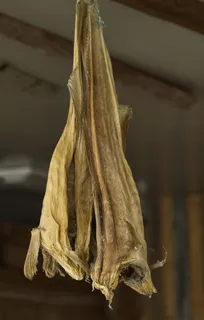 干鱼，鱼，干鱼，鳕鱼，海宁，室内，食品