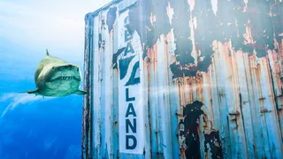 发现，发现，浪费，沉没，沉没，生锈，沉船