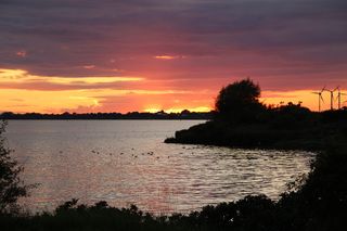 云，天空，鸟，风景，蓝色，云的形状，自然，聚光灯