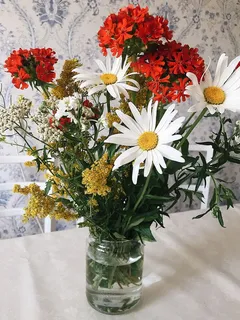 开花植物,花,植物,新鲜,脆弱,脆弱,花瓶,花头 开花植物,花,植物,新鲜,脆弱,脆弱,花瓶,花头