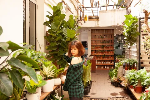 穿绿色和黑色格子衬衫的女人 穿绿色和黑色格子衬衫的女人