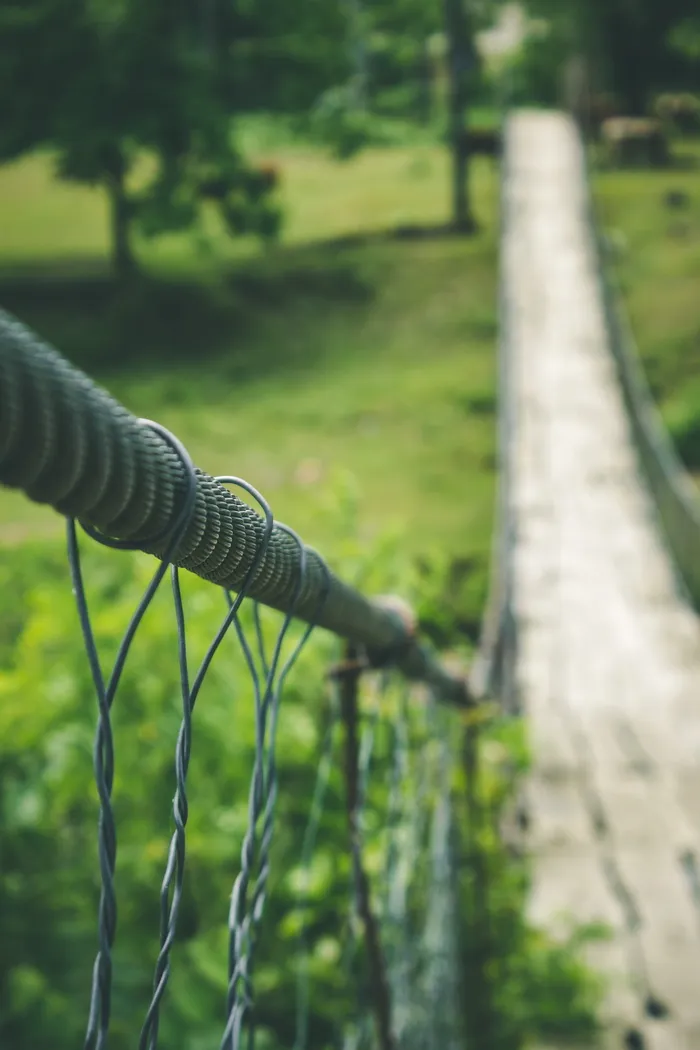 自然, 木纤维板, 树, 户外, 植物, 夏天, 美丽, 桥梁