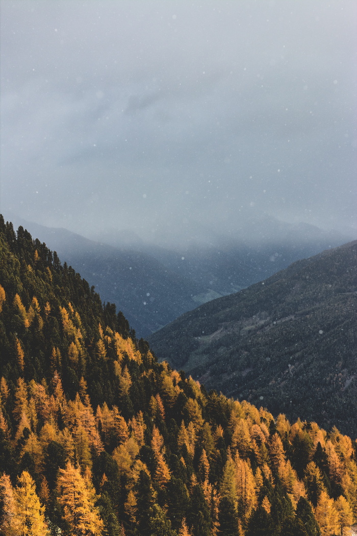 云覆盖了山，空中，风景，森林，山，秋天，秋天，自然