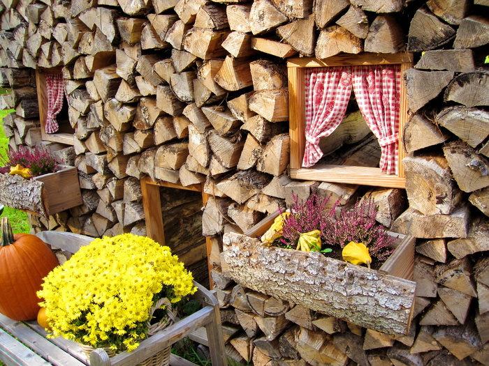 黄色，花瓣花卉中心，棕色，房子，白天，秋天，南瓜，装饰