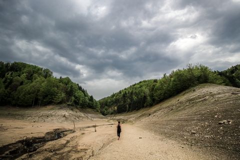 塞尔维亚，莫克拉戈拉，塔拉，自然，步行，探险，冒险，森林