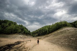 塞尔维亚，莫克拉戈拉，塔拉，自然，步行，探险，冒险，森林