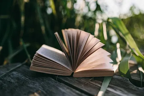 在湖边读书 在湖边读书