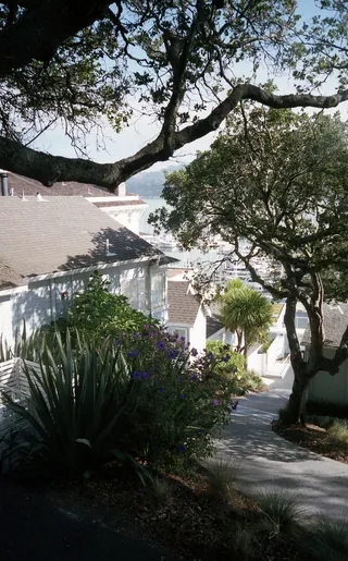 靠近树木的房屋