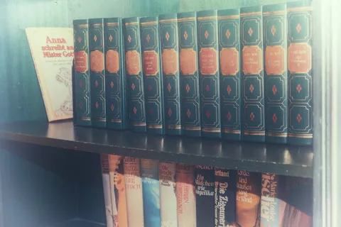 书籍，文学，教育，形式，学习，阅读，图书馆，书架