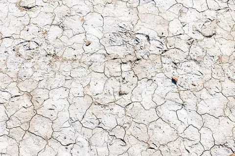 白色,土壤,白天,地板,地面,棕色,石头,裂缝 白色,土壤,白天,地板,地面,棕色,石头,裂缝