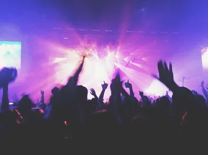 人们,聚会,举手,音乐会,音乐,人群,舞蹈 人们,聚会,举手,音乐会,音乐,人群,舞蹈