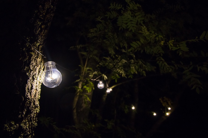 灯，灯，灯泡，能源，照明，花园，灯泡，led