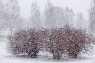 瑞典, 托斯比, 雪, 下降, 佳能, eos, värmland, 蔡司