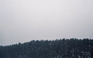 timelapse摄影，o，雨，照片，树，冬天，下雪，暴风雪