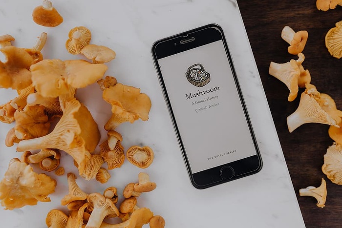 在树林里采蘑菇