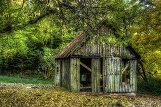 木棚、缺乏维护、磨损、树木、植物、建筑、土地、建筑结构